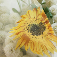 Rideau Voilage Betio